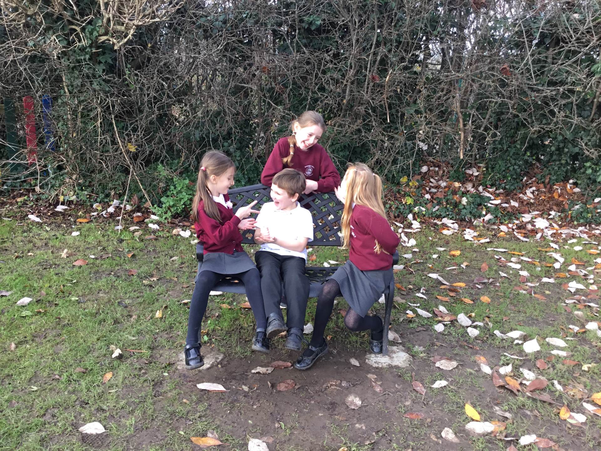 Friendship bench 